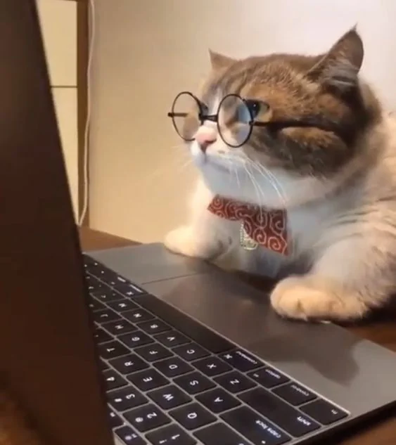 foto do perfil do Ricardo